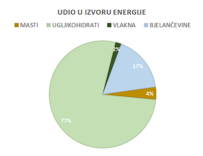 Udio u izvoru energije